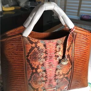 Brahmin Elaine and Ady in Mahogany Cassaway NEW